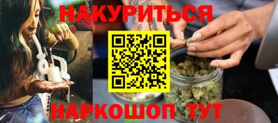 индика Будённовск