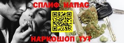 индика Будённовск