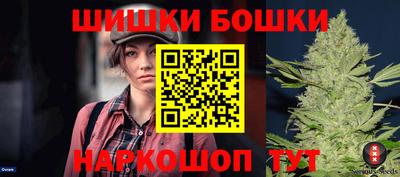индика Будённовск