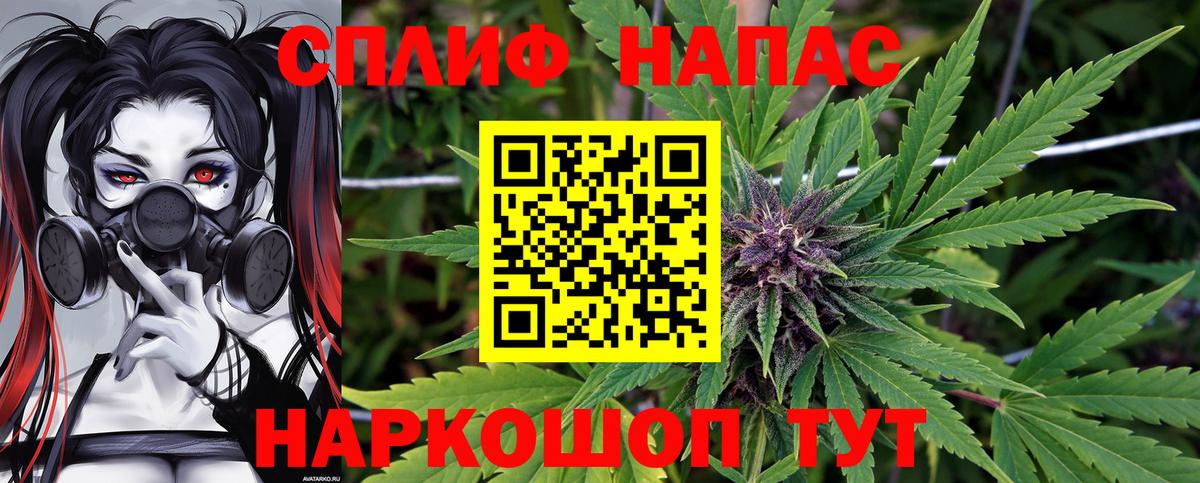 Бошки Шишки сатива Шахты